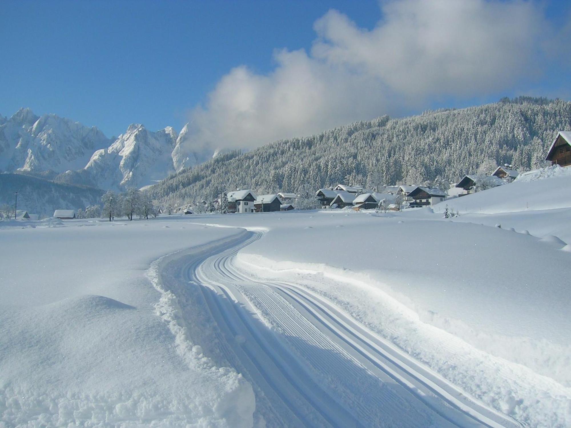 Privatzimmer Anneliese Hotel Gosau Kültér fotó