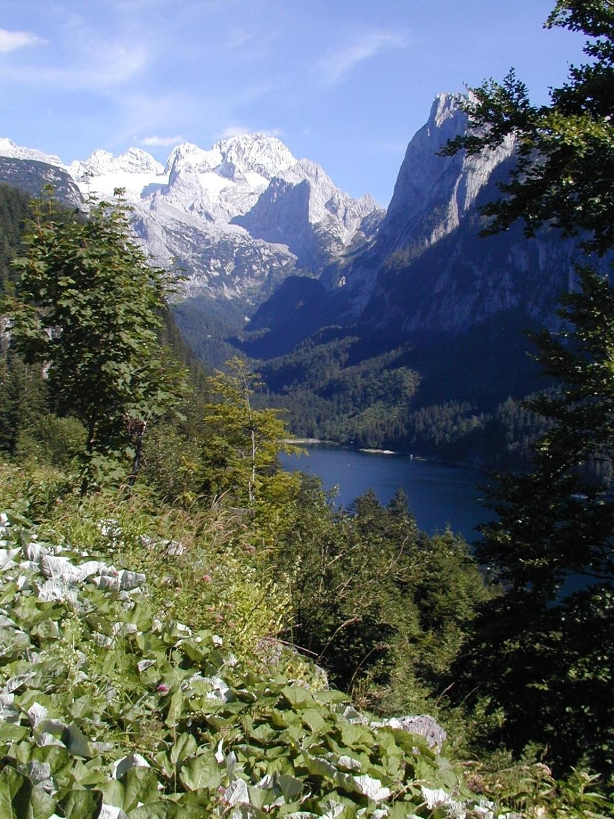 Privatzimmer Anneliese Hotel Gosau Kültér fotó